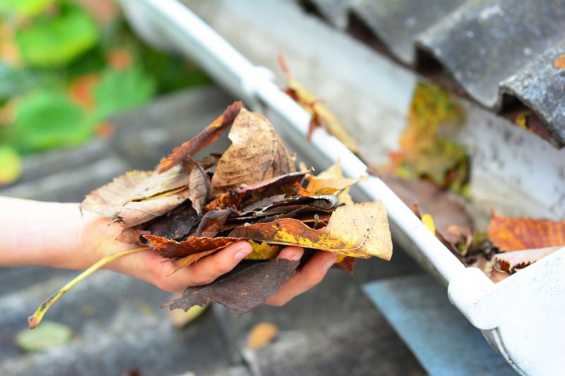 Commercial Gutter Maintenance in Roseville, CA